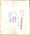 The brown bear: velvet one of the pair. - Vintage Photograph