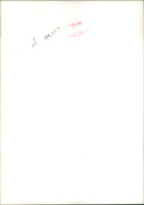 The brown bear: - Vintage Photograph