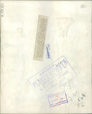 The brown bear: traffic in the road. - Vintage Photograph