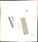 Animal: Brown Bear - Vintage Photograph