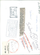 Animal: Brown Bear - Vintage Photograph