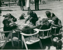 Animal: Chimpanzee - Vintage Photograph