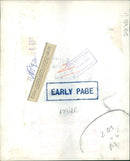 Animal Chimpanzee: - Vintage Photograph