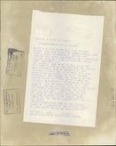 Animal Chimpanzee: - Vintage Photograph