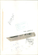 Animal Chimpanzee: Twycross Zoo - Vintage Photograph