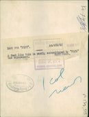 Animal Chimpanzee: - Vintage Photograph