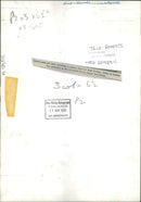 Animal Chimpanzee: Joma - Vintage Photograph