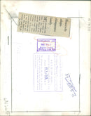 Animal Chimpanzee: adopts - Vintage Photograph