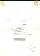 Animal Chimpanzee: - Vintage Photograph