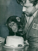 Animal Chimpanzee: - Vintage Photograph