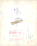 Animal Chimpanzee: - Vintage Photograph