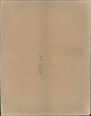 Animal Chimpanzee: Melbourne Zoo - Vintage Photograph