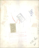 Animal Chimpanzee: Fifi - Vintage Photograph