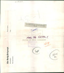 Animal Chimpanzee: Yula - Vintage Photograph