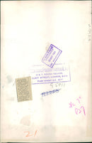 Animal Chimpanzee: - Vintage Photograph