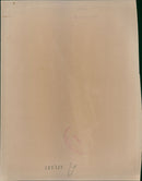 Aircraft : Dassault Mirage 2000 - Vintage Photograph