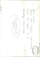 Sheep Animal: - Vintage Photograph