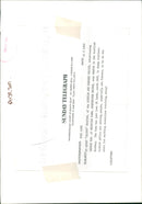 Sheep Animal:kenny skippy houston. - Vintage Photograph