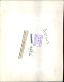 Sheep Animal:blackface sheep in jing ring. - Vintage Photograph