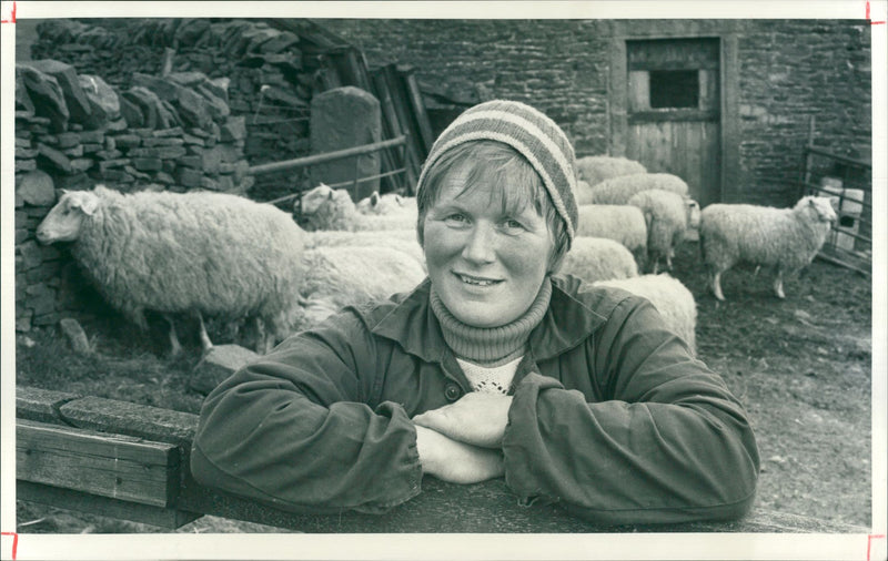 Sheep Animal:lynne greenwood. - Vintage Photograph