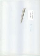 Buffalo: one of the waterbuffalo. - Vintage Photograph