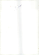 Buffalo: - Vintage Photograph