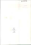 Buffalo. - Vintage Photograph