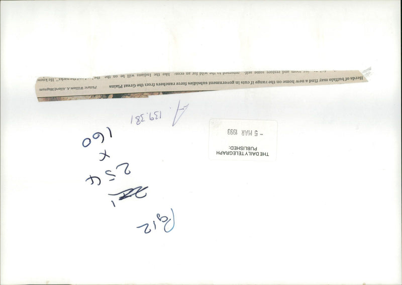 Herds of Buffalo. - Vintage Photograph