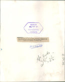 Antelope - Vintage Photograph