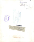 Antelope - Vintage Photograph