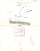 Brown bear:eeny meeny and miny. - Vintage Photograph