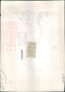 Brown bear: the best thing to a teddy. - Vintage Photograph