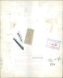 Brown bear: a woolly monkey paying. - Vintage Photograph