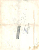 Brown bear: wilma a kodiak bear. - Vintage Photograph