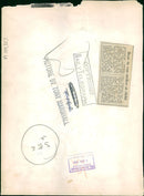 Brown bear:in vans strike at child. - Vintage Photograph