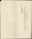 Brown bear: - Vintage Photograph