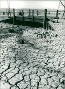 Drought in Australia: this bridge at the glenmaggie reservoir. - Vintage Photograph