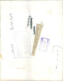 Animal Sheep: - Vintage Photograph