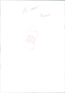 Animal Sheep: - Vintage Photograph