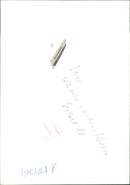 Animal Sheep: - Vintage Photograph