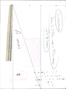 Animal Sheep: - Vintage Photograph