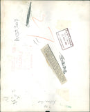 Animal Sheep: - Vintage Photograph