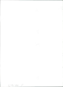 Animal Sheep: - Vintage Photograph