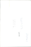 Animal Sheep: - Vintage Photograph