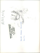 Franz Heinzer. - Vintage Photograph