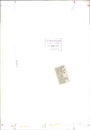 Piccadilly Theatre:The man and the musical. - Vintage Photograph