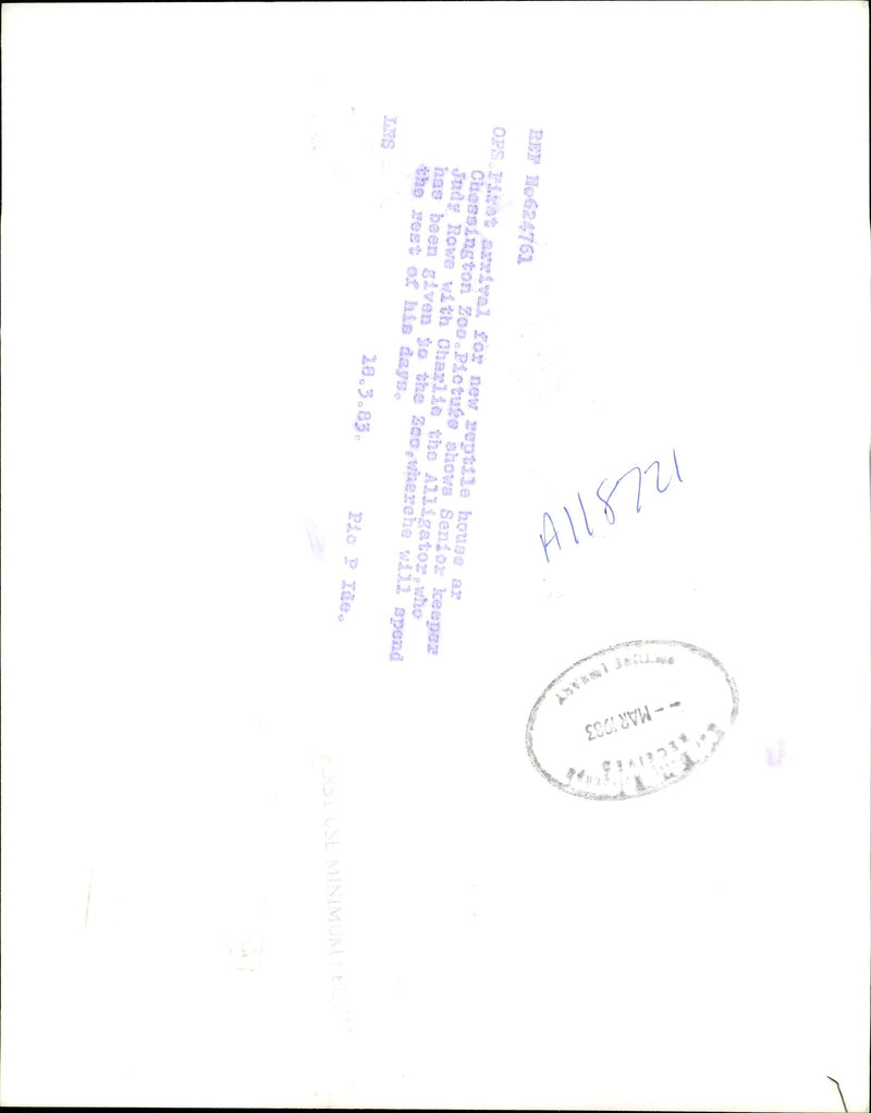 Judy Howe. - Vintage Photograph