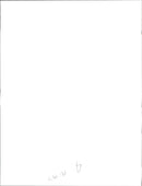 Cricket England:Devon malcolm. - Vintage Photograph