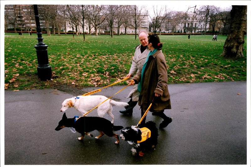 Desmond John Wilcox with charlotte moulton thomas  and dogs. - Vintage Photograph