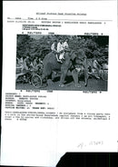 Bangladesh Strikes, an Elephant from circus. - Vintage Photograph